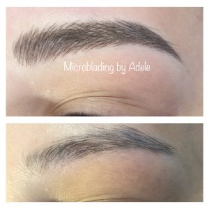 2024_08_19_10_31_IMG_8025 2024_08_19_10_31_IMG_8025