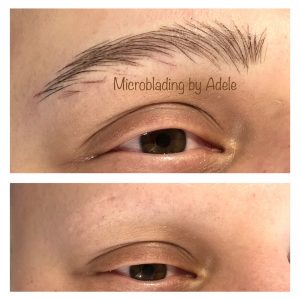 2025_02_14_19_22_IMG_0206 2025_02_14_19_22_IMG_0206